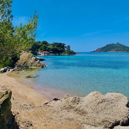 Unique - 6 Personnes - Clim Terrasse Parking Plages 公寓 *